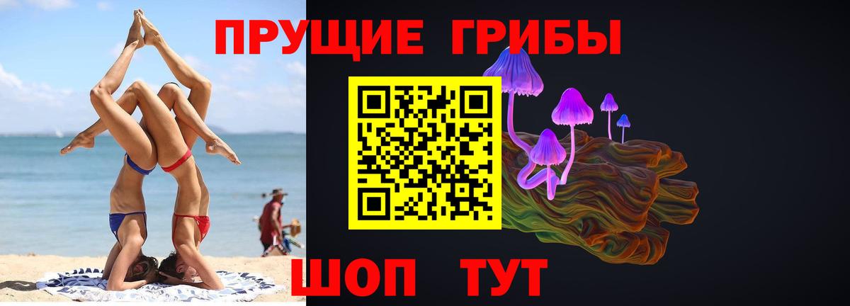 Галлюциногенные грибы GOLDEN TEACHER Клин